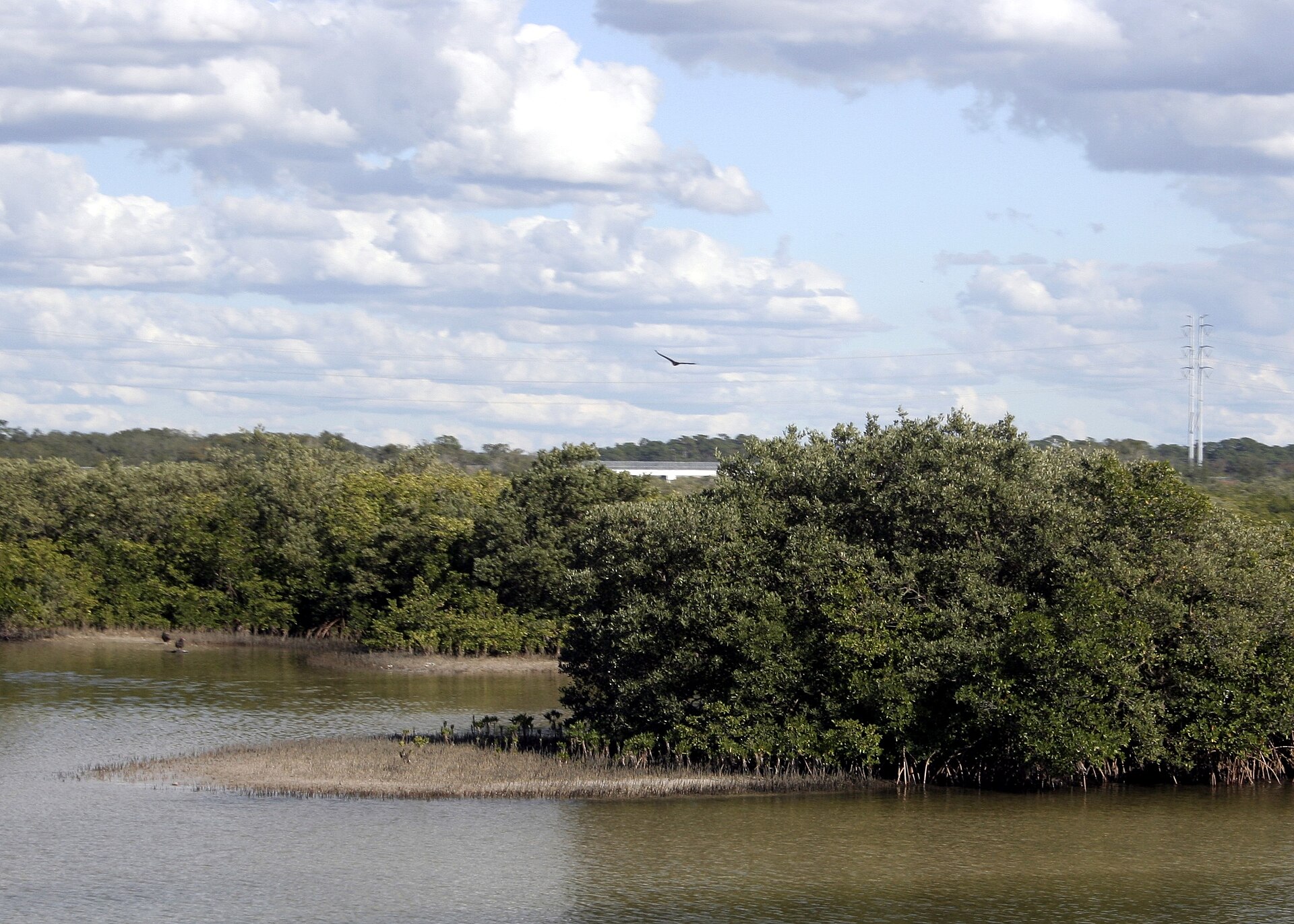 View near Anclote Village Marina