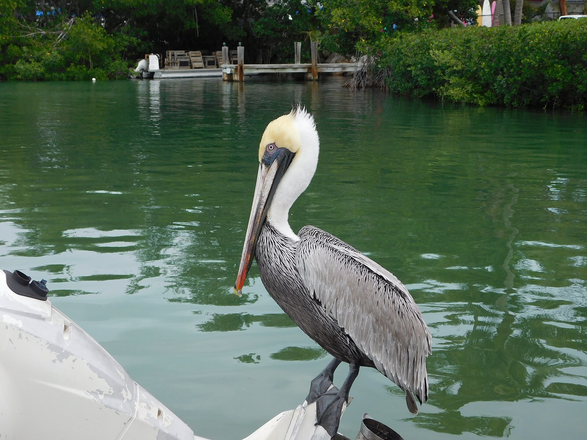 Bayside Marina