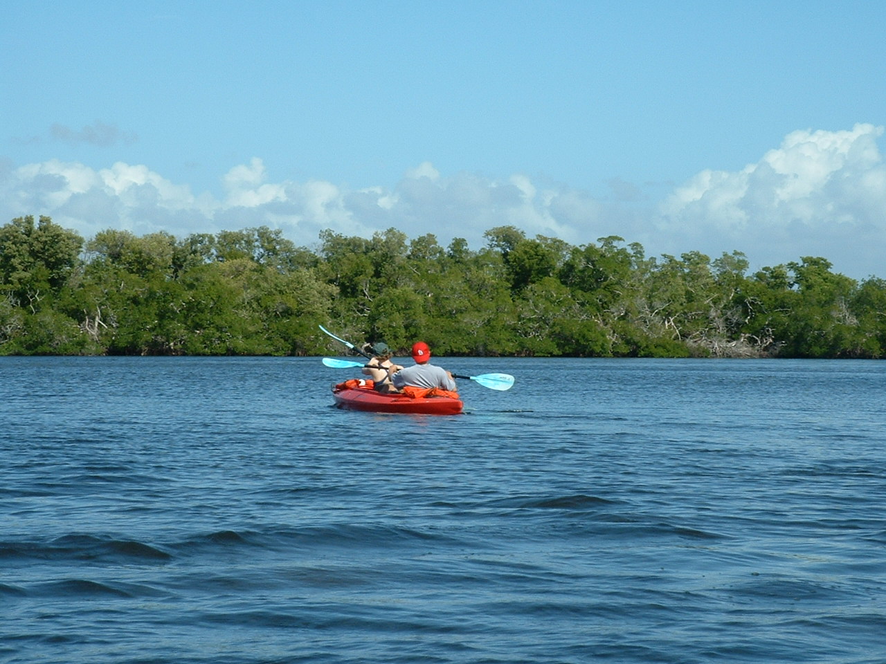View near Coconut Point Marina