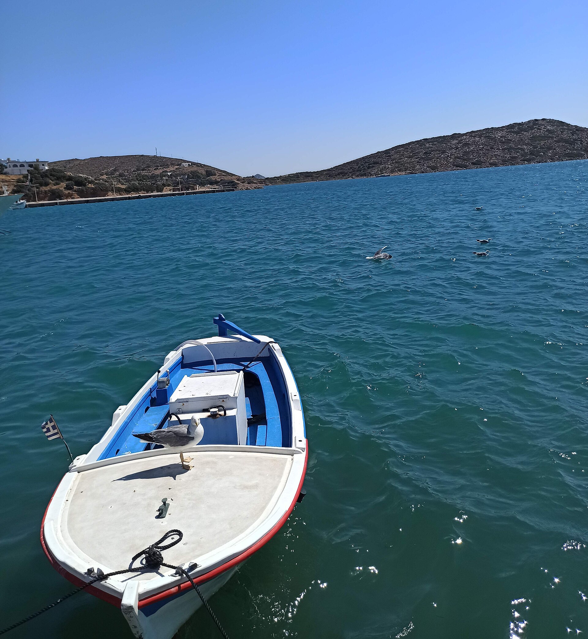 Lipsi Marina
