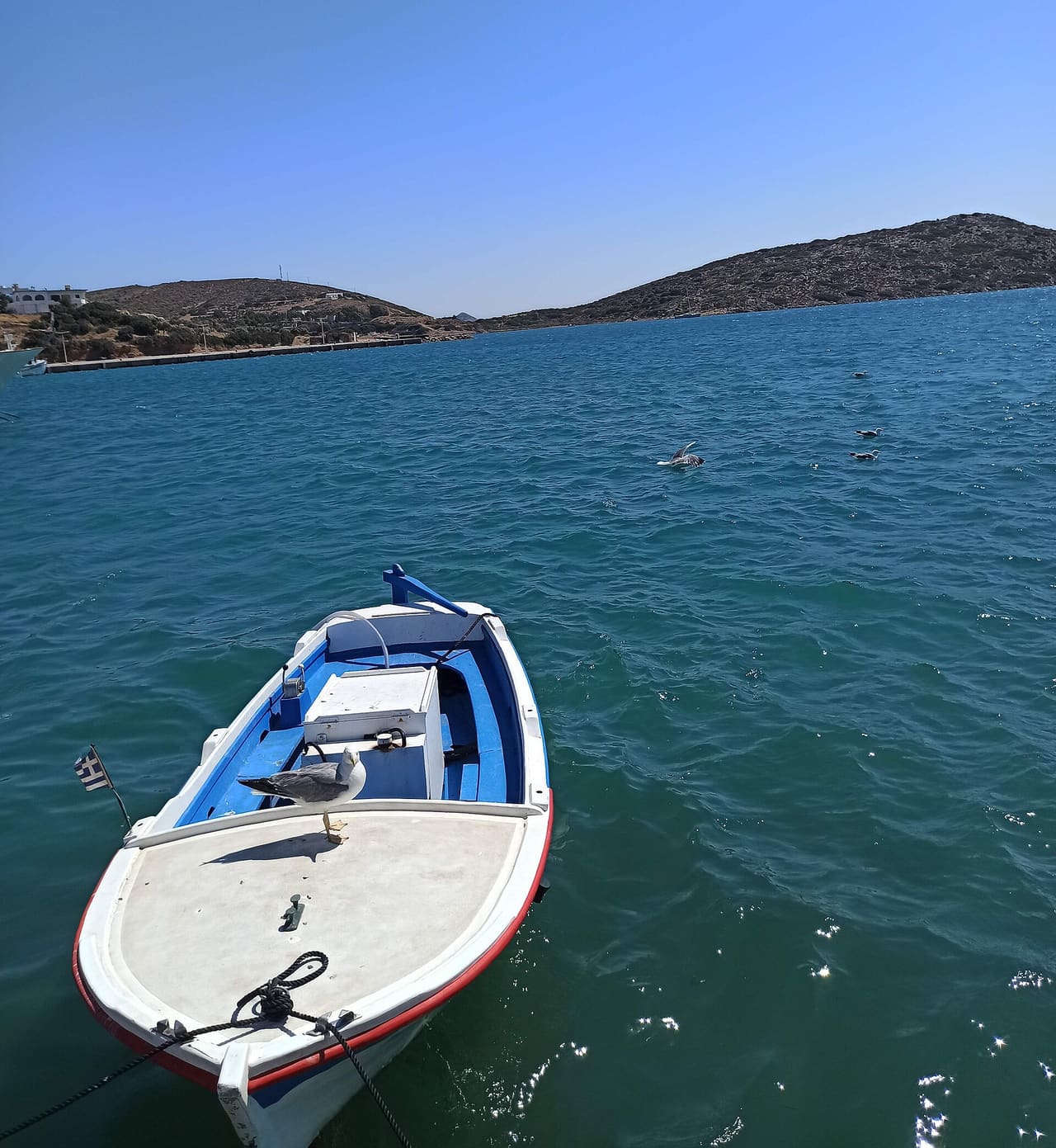 Lipsi Marina