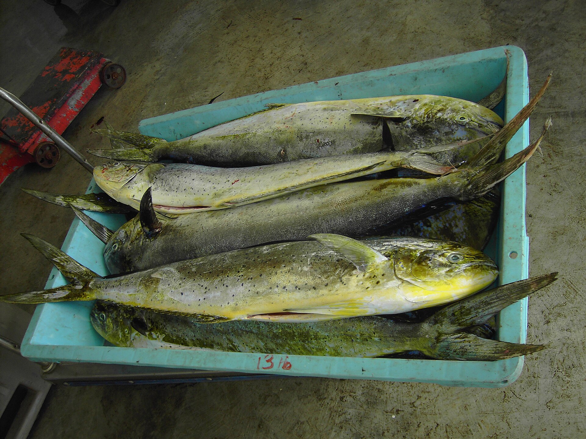 Marigot Port and Fisheries Complex