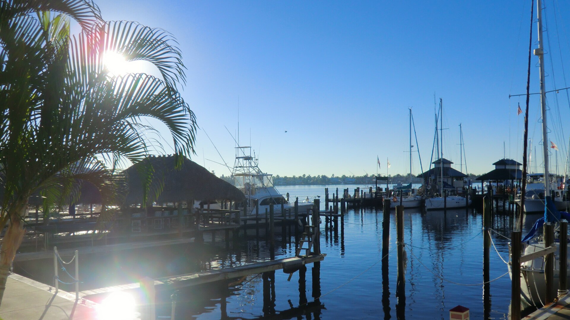 Naples City Dock