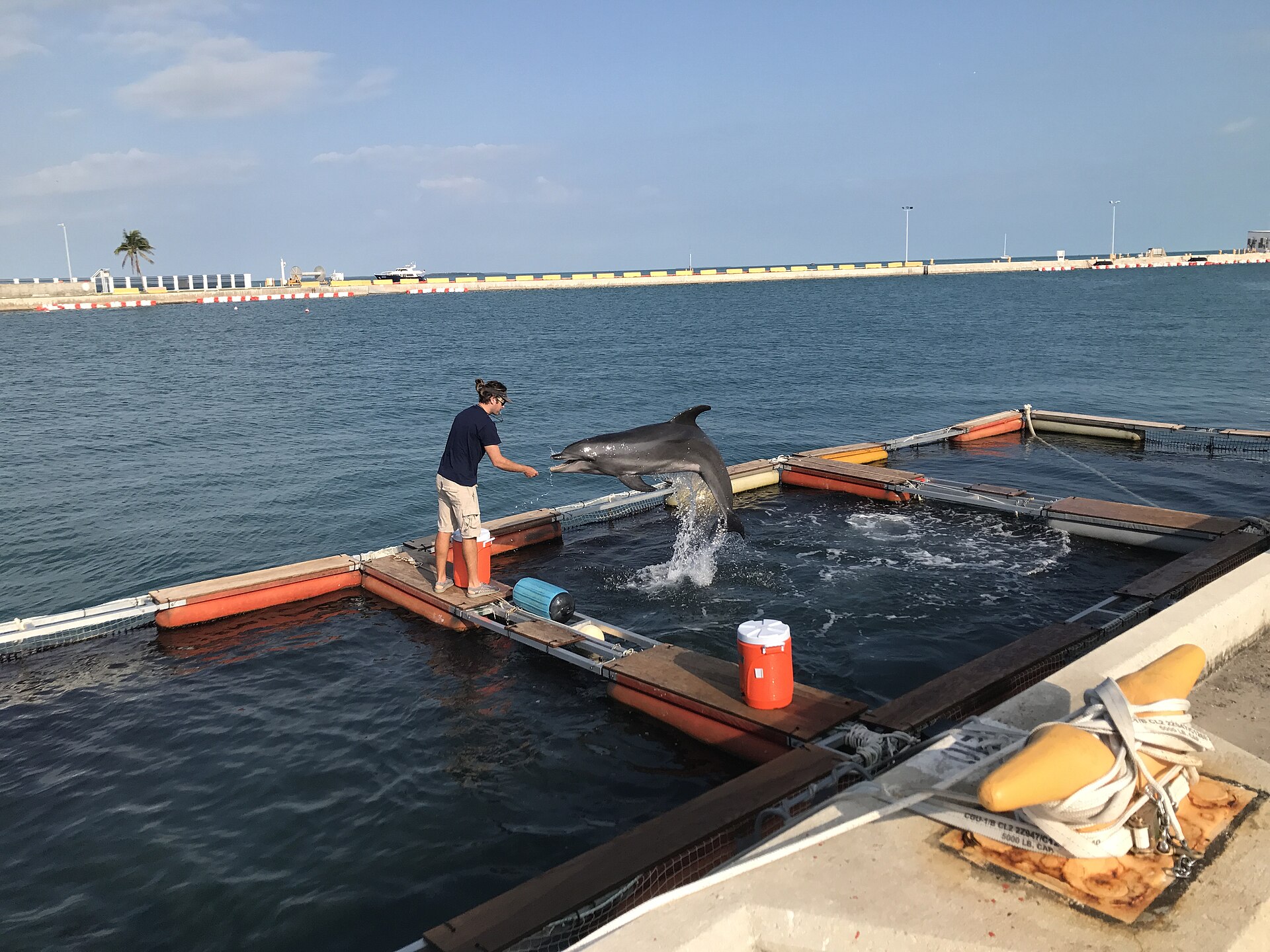 NOAA Pier