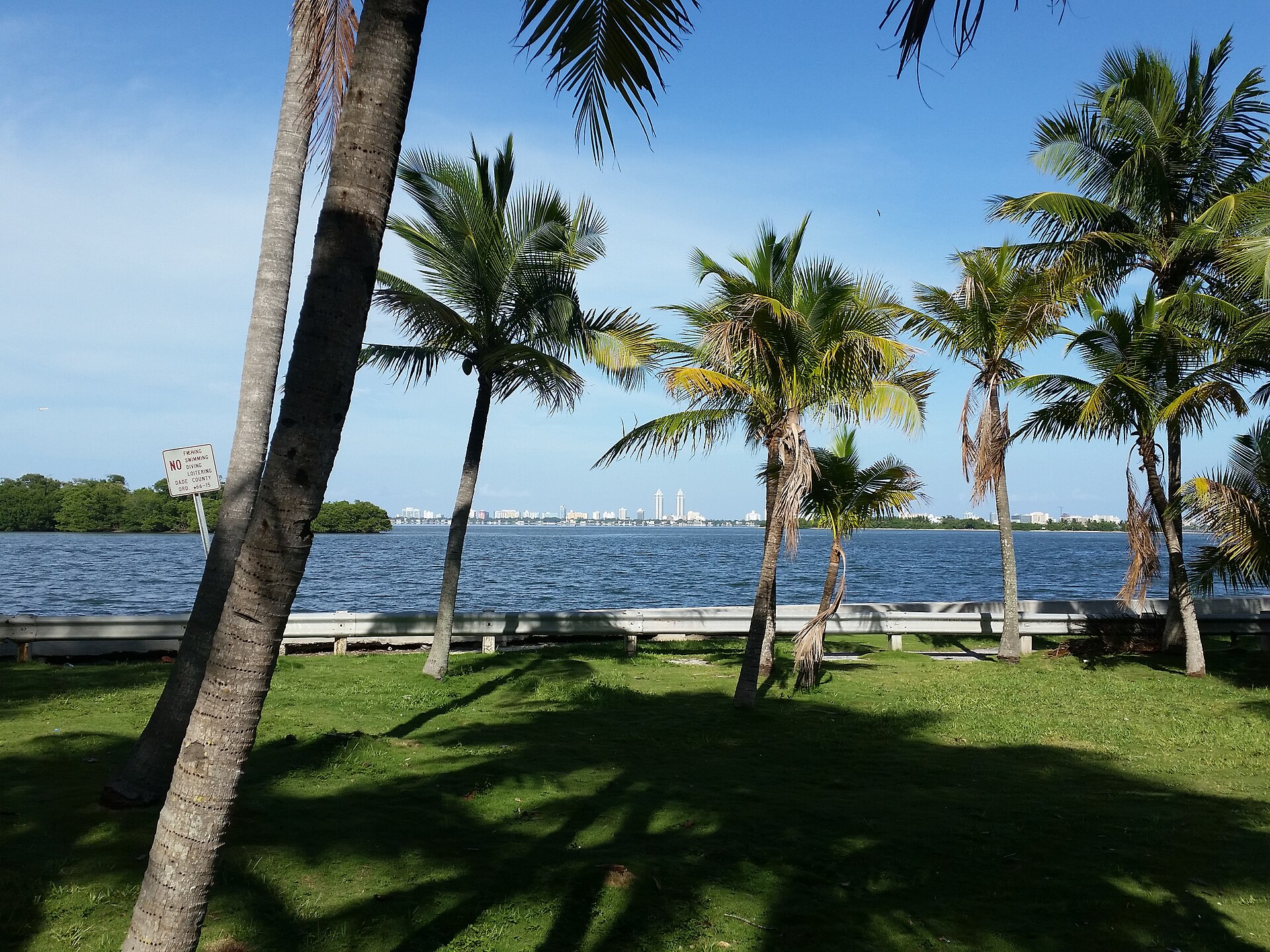 View near Palm Bay Club