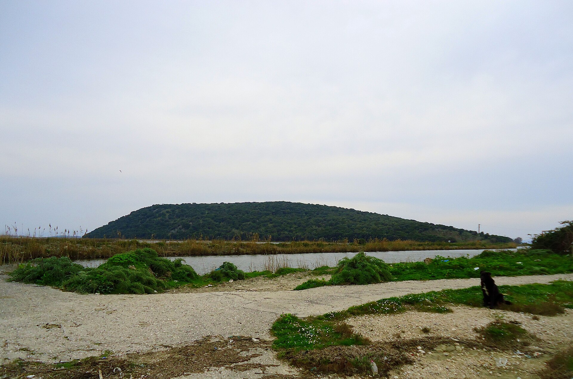 Salaoras Marina