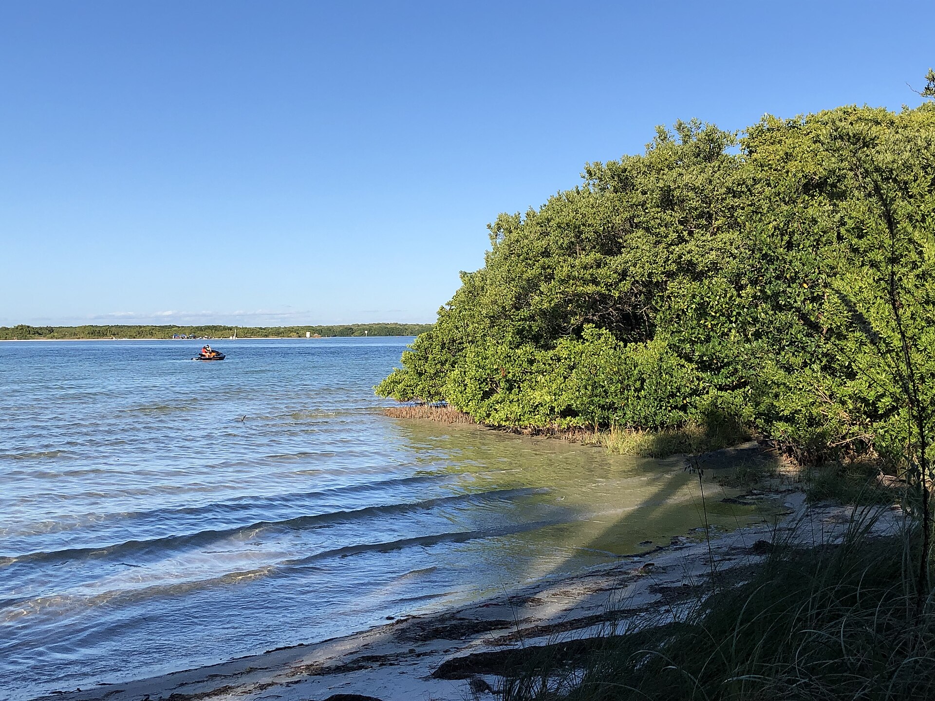 View near Shell Key Ferry Landing Ferry Terminal