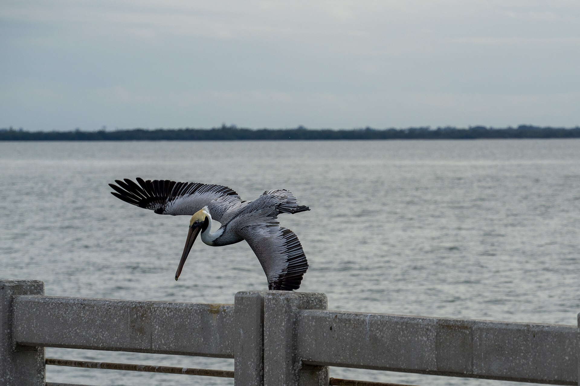 View near South Sunshine Skyway Fishing Pier